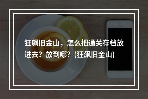 狂飙旧金山，怎么把通关存档放进去？放到哪？(狂飙旧金山)