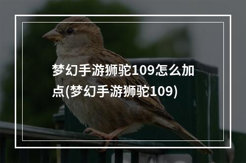 梦幻手游狮驼109怎么加点(梦幻手游狮驼109)