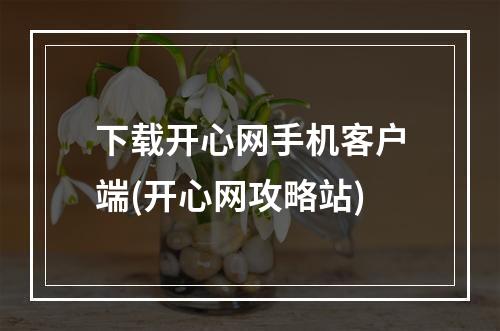 下载开心网手机客户端(开心网攻略站)