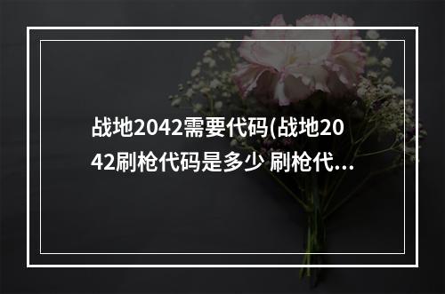 战地2042需要代码(战地2042刷枪代码是多少 刷枪代码详解介绍 )