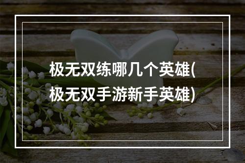 极无双练哪几个英雄(极无双手游新手英雄)