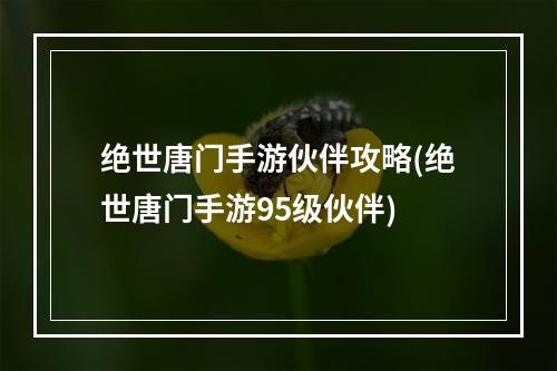 绝世唐门手游伙伴攻略(绝世唐门手游95级伙伴)