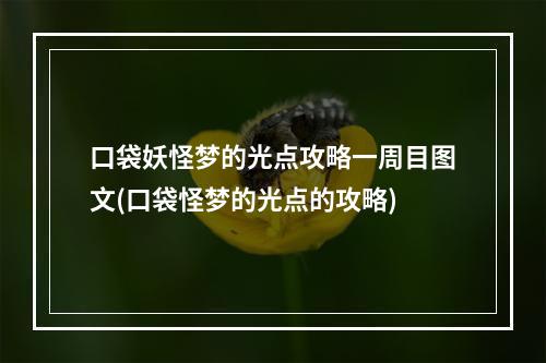 口袋妖怪梦的光点攻略一周目图文(口袋怪梦的光点的攻略)