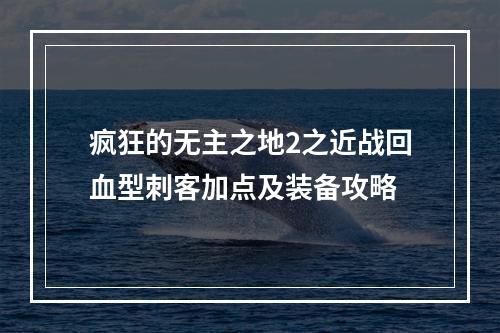 疯狂的无主之地2之近战回血型刺客加点及装备攻略