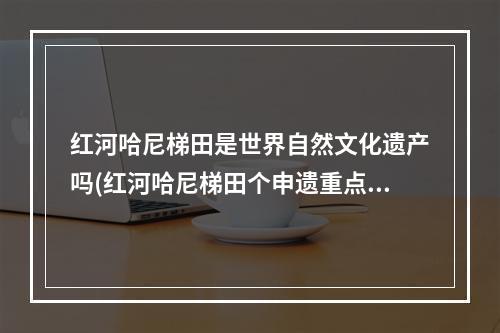 红河哈尼梯田是世界自然文化遗产吗(红河哈尼梯田个申遗重点村落)