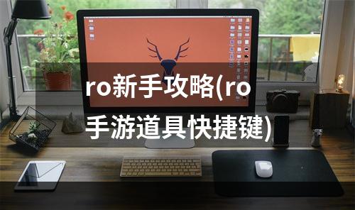 ro新手攻略(ro手游道具快捷键)