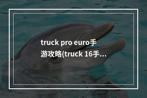 truck pro euro手游攻略(truck 16手机版攻略)