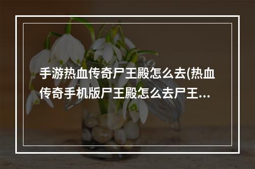 手游热血传奇尸王殿怎么去(热血传奇手机版尸王殿怎么去尸王殿在哪里)