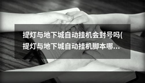 提灯与地下城自动挂机会封号吗(提灯与地下城自动挂机脚本哪里有自动挂机怎么开)