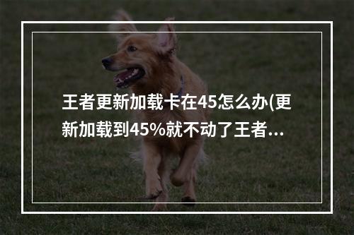 王者更新加载卡在45怎么办(更新加载到45%就不动了王者荣耀加载75%卡很久)