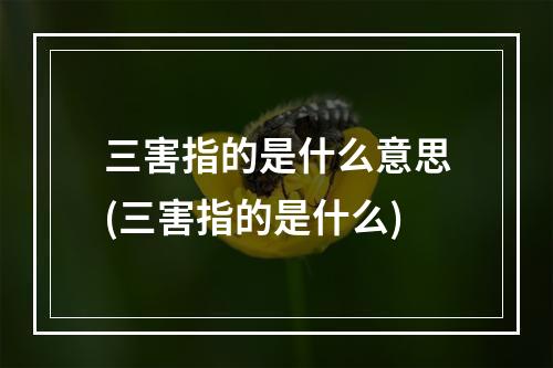 三害指的是什么意思(三害指的是什么)