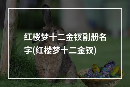 红楼梦十二金钗副册名字(红楼梦十二金钗)