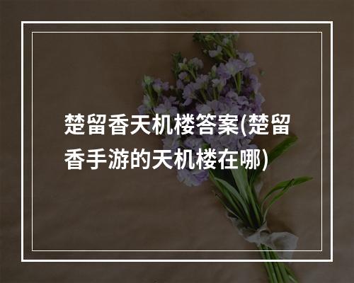 楚留香天机楼答案(楚留香手游的天机楼在哪)