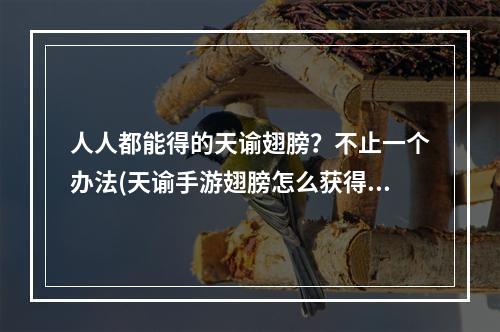 人人都能得的天谕翅膀？不止一个办法(天谕手游翅膀怎么获得)