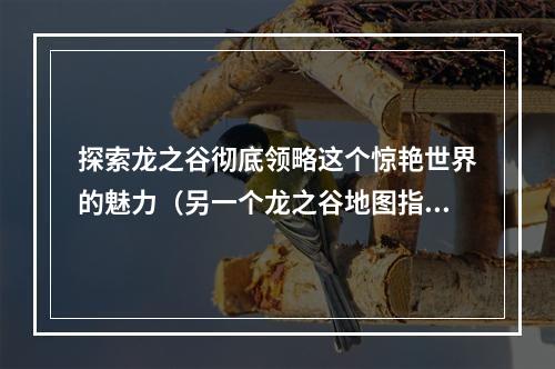 探索龙之谷彻底领略这个惊艳世界的魅力（另一个龙之谷地图指南快速上手全地图信息）