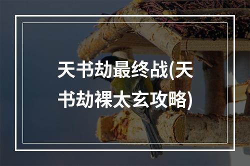 天书劫最终战(天书劫裸太玄攻略)