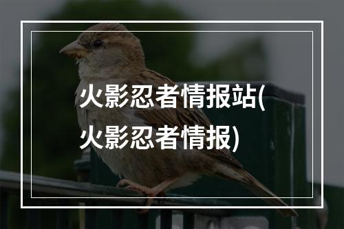 火影忍者情报站(火影忍者情报)