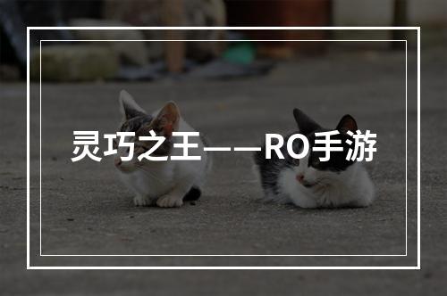 灵巧之王——RO手游