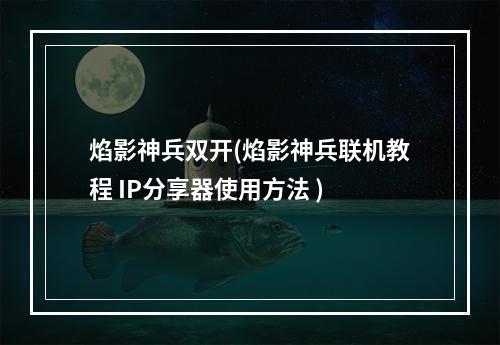 焰影神兵双开(焰影神兵联机教程 IP分享器使用方法 )