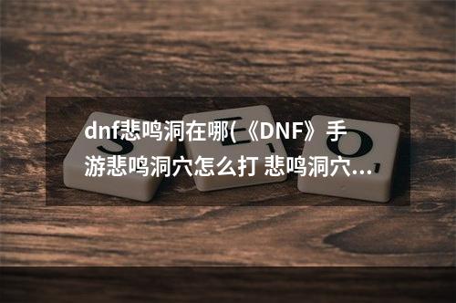 dnf悲鸣洞在哪(《DNF》手游悲鸣洞穴怎么打 悲鸣洞穴打法攻略一览  )