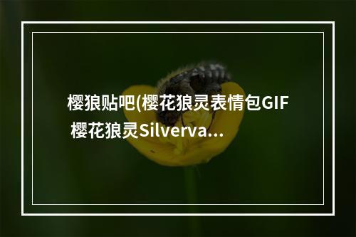 樱狼贴吧(樱花狼灵表情包GIF 樱花狼灵Silvervale动态表情包)