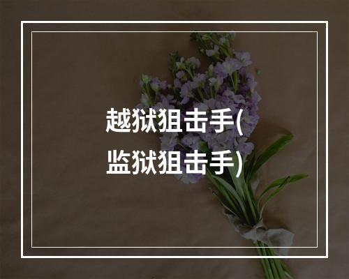 越狱狙击手(监狱狙击手)