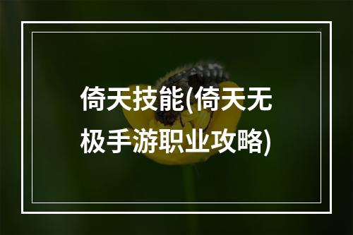 倚天技能(倚天无极手游职业攻略)