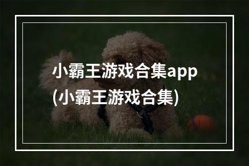 小霸王游戏合集app(小霸王游戏合集)