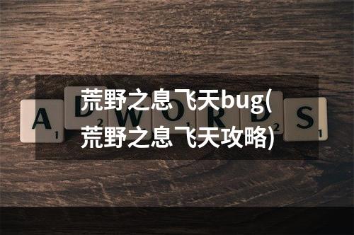 荒野之息飞天bug(荒野之息飞天攻略)