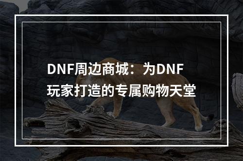 DNF周边商城：为DNF玩家打造的专属购物天堂