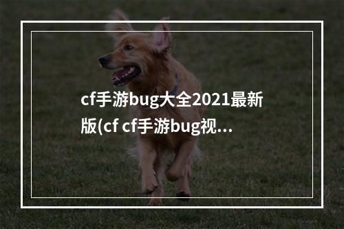 cf手游bug大全2021最新版(cf cf手游bug视频)