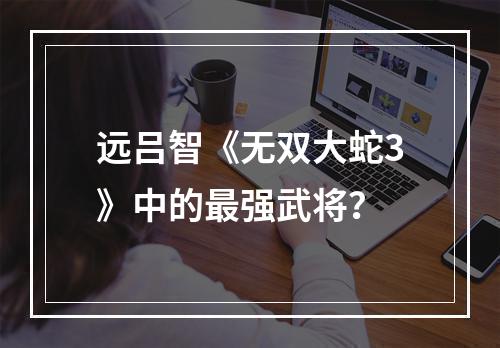 远吕智《无双大蛇3》中的最强武将？