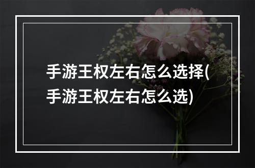 手游王权左右怎么选择(手游王权左右怎么选)