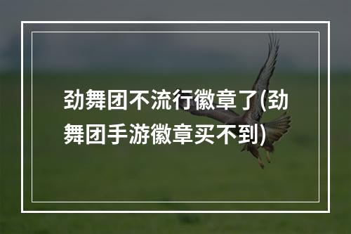 劲舞团不流行徽章了(劲舞团手游徽章买不到)