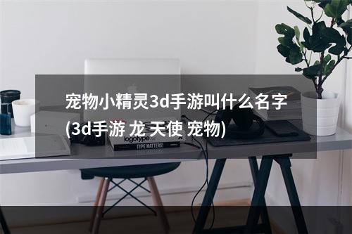 宠物小精灵3d手游叫什么名字(3d手游 龙 天使 宠物)