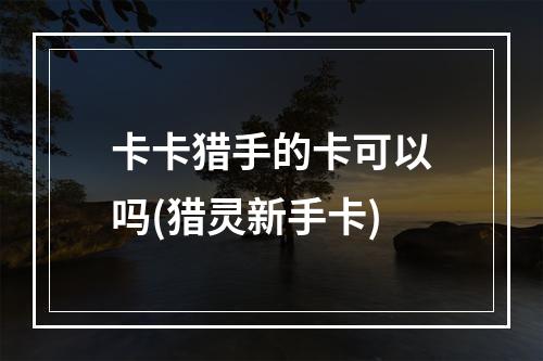 卡卡猎手的卡可以吗(猎灵新手卡)