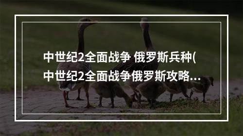 中世纪2全面战争 俄罗斯兵种(中世纪2全面战争俄罗斯攻略)