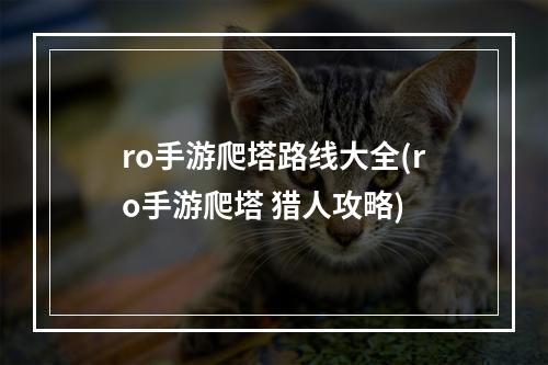 ro手游爬塔路线大全(ro手游爬塔 猎人攻略)