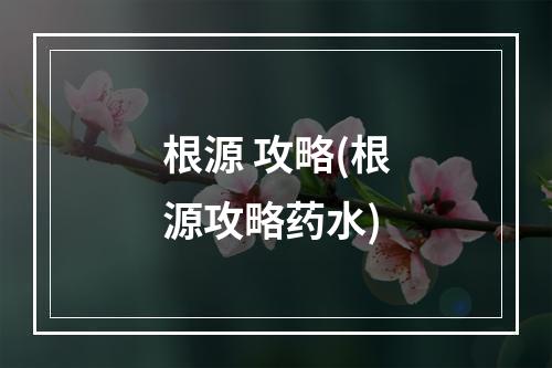 根源 攻略(根源攻略药水)