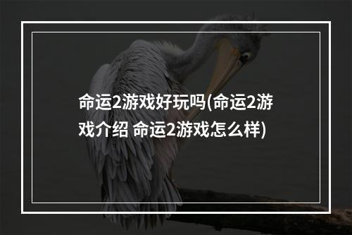 命运2游戏好玩吗(命运2游戏介绍 命运2游戏怎么样)