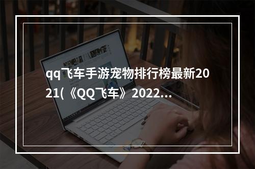 qq飞车手游宠物排行榜最新2021(《QQ飞车》2022最新宠物排行榜一览 QQ飞车手游  )