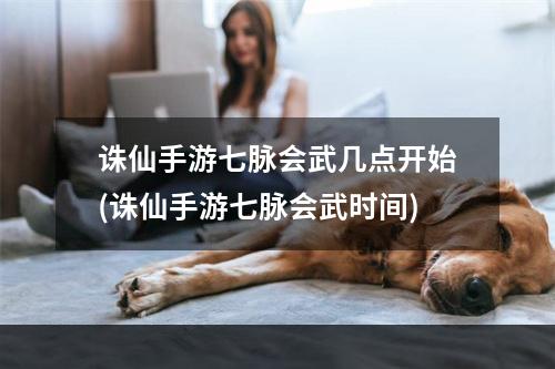 诛仙手游七脉会武几点开始(诛仙手游七脉会武时间)