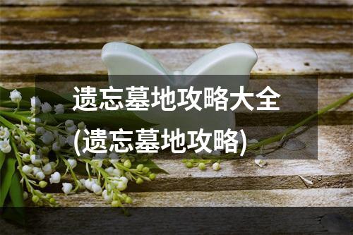 遗忘墓地攻略大全(遗忘墓地攻略)