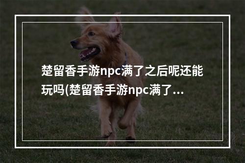 楚留香手游npc满了之后呢还能玩吗(楚留香手游npc满了之后呢)