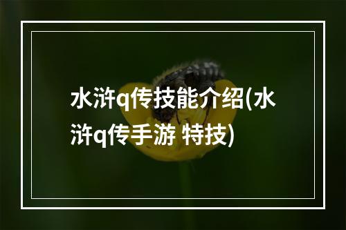 水浒q传技能介绍(水浒q传手游 特技)