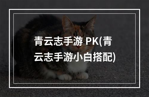 青云志手游 PK(青云志手游小白搭配)