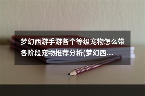 梦幻西游手游各个等级宠物怎么带各阶段宠物推荐分析(梦幻西游宠物)