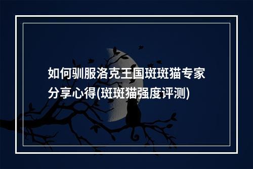 如何驯服洛克王国斑斑猫专家分享心得(斑斑猫强度评测)