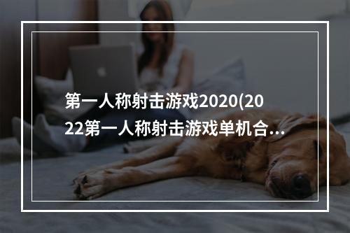 第一人称射击游戏2020(2022第一人称射击游戏单机合集 好玩的第一人称单机)