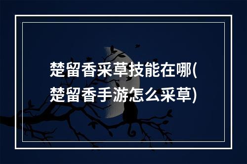 楚留香采草技能在哪(楚留香手游怎么采草)